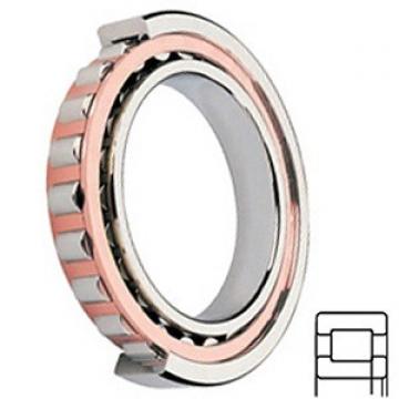 Cylindrical Roller Bearings NUP 2206 ECP/C3