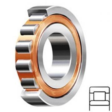 Cylindrical Roller Bearings NU 411/C3