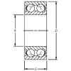 Double Row Angular Contact Ball Bearing 5418W