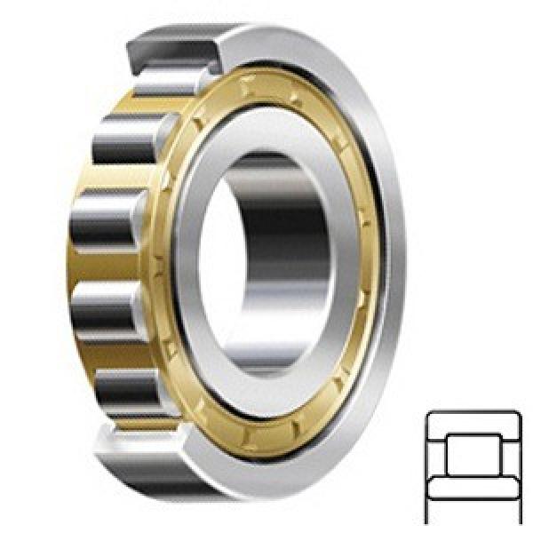 Cylindrical Roller Bearings NU 1036 M/C4VA301 #1 image