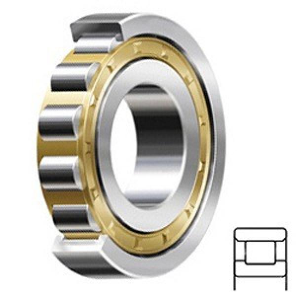 Cylindrical Roller Bearings 240RN03 R2 #1 image